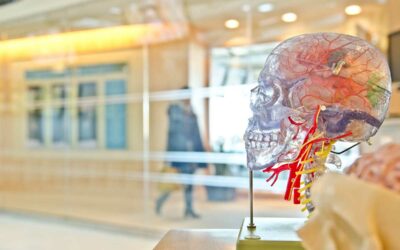 Como ocorrem as principais doenças neurodegenerativas?